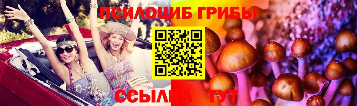 Псилоцибиновые грибы мицелий  Вход с VPN  Псилоцибиновые грибы мицелий  Туймазы 
